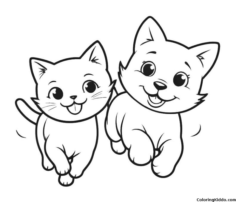 a cat and dog running together