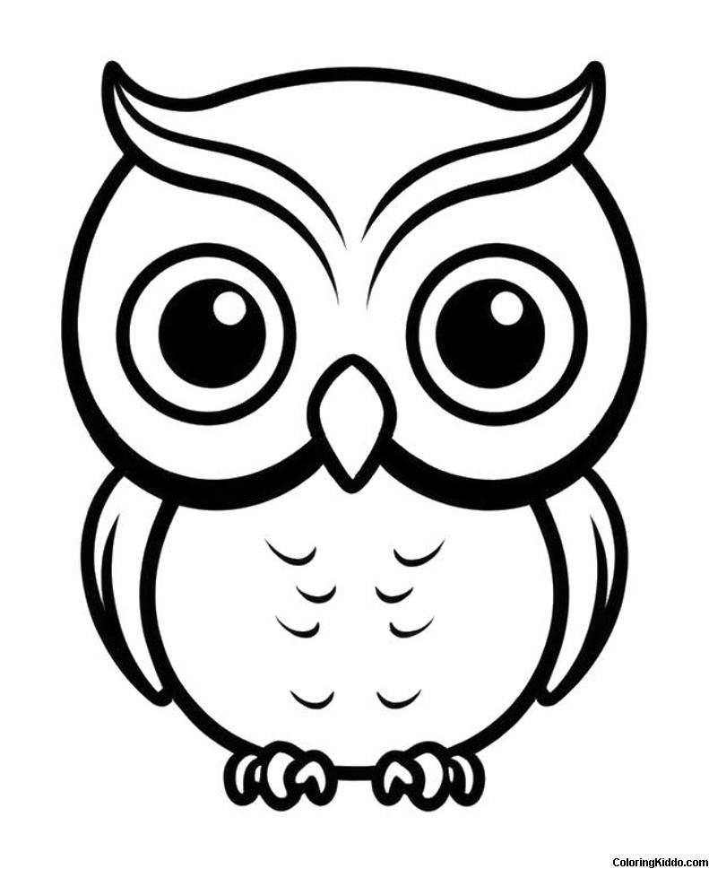 coloring page of a cute owl