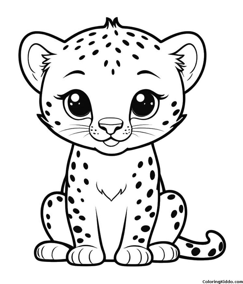 A cute sitting leopard