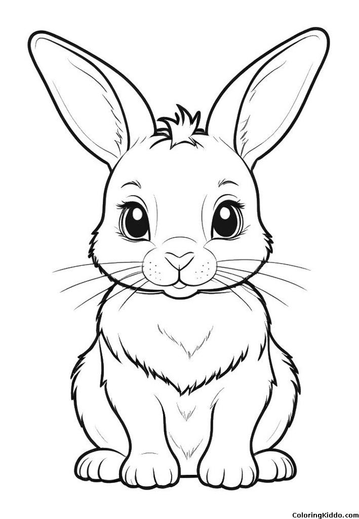 a fluffy rabbit sitting on the floor