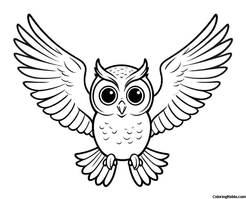 coloring page of a flying owl with wings open
