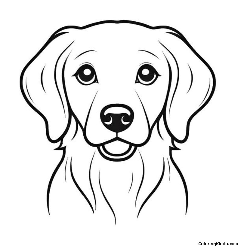 coloring page of a friendly golden retriever face