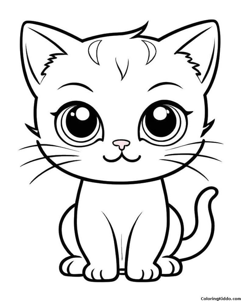 a young cat with big eyes