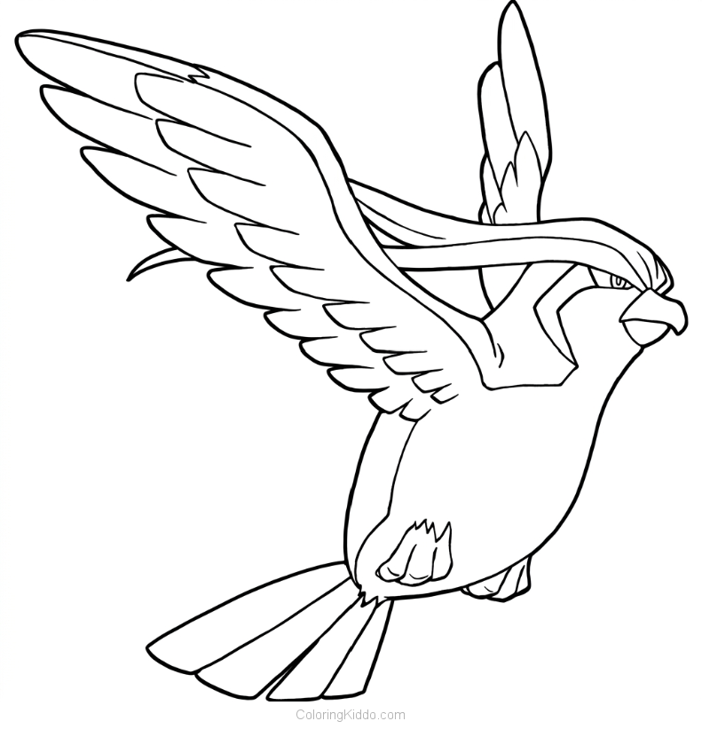 Pidgeot looks brave and powerful, soaring through the air and ready for any adventure!